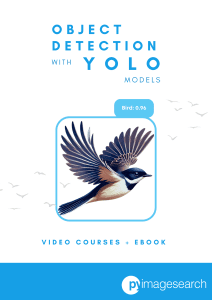 Yolo book bundle